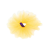https://images.graas.ai/uploads/AADJA/Shinmudra-AADJA0003413-02/1.jpeg
